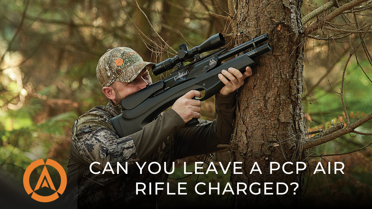 Can you leave a PCP air rifle charged?